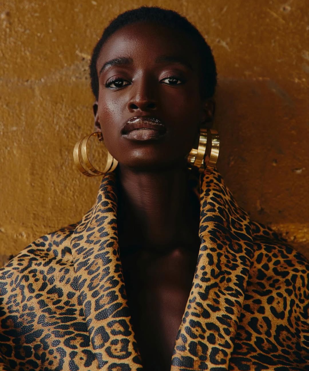 Temi Fatade